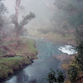 A Misty Morning in Bridgetown 2. Western Australia
