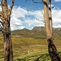 Ronny Creek, Cradle Mountain, Tasmania, Australia #3